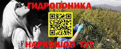 индика Абинск