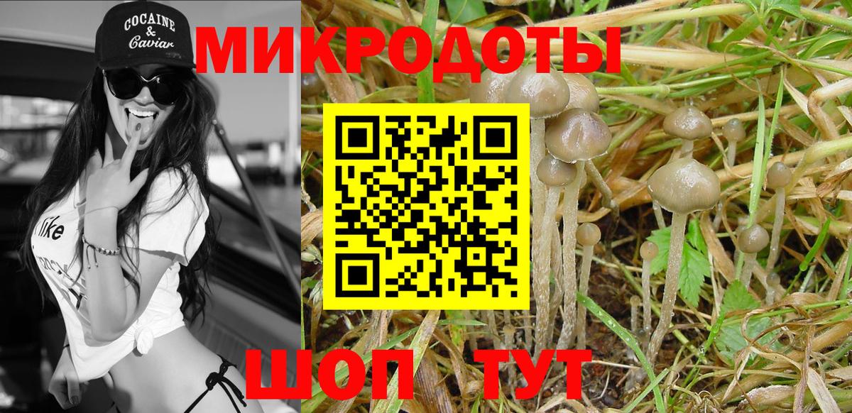 Калуга  Псилоцибиновые грибы Psilocybine cubensis  Псилоцибиновые грибы MAGIC MUSHROOMS  Вход с VPN 